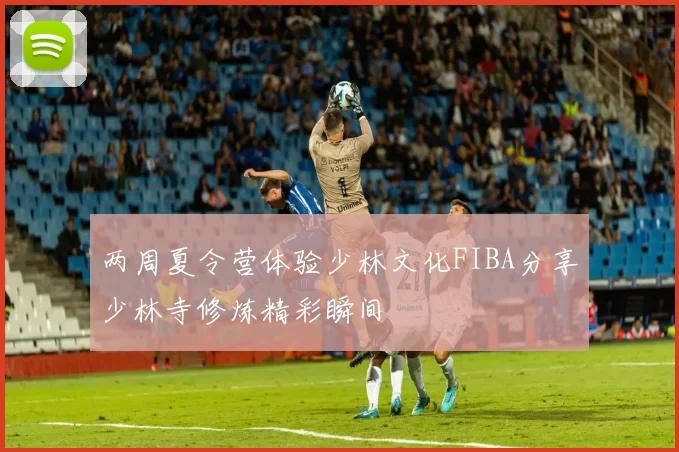 两周夏令营体验少林文化FIBA分享少林寺修炼精彩瞬间