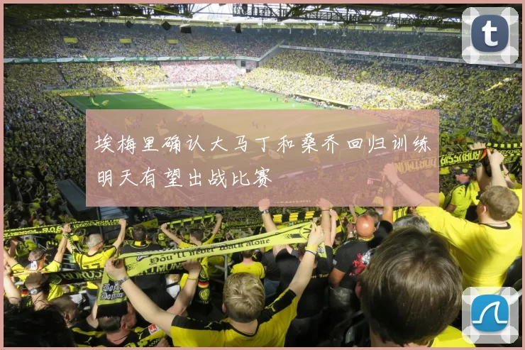 埃梅里确认大马丁和桑乔回归训练明天有望出战比赛