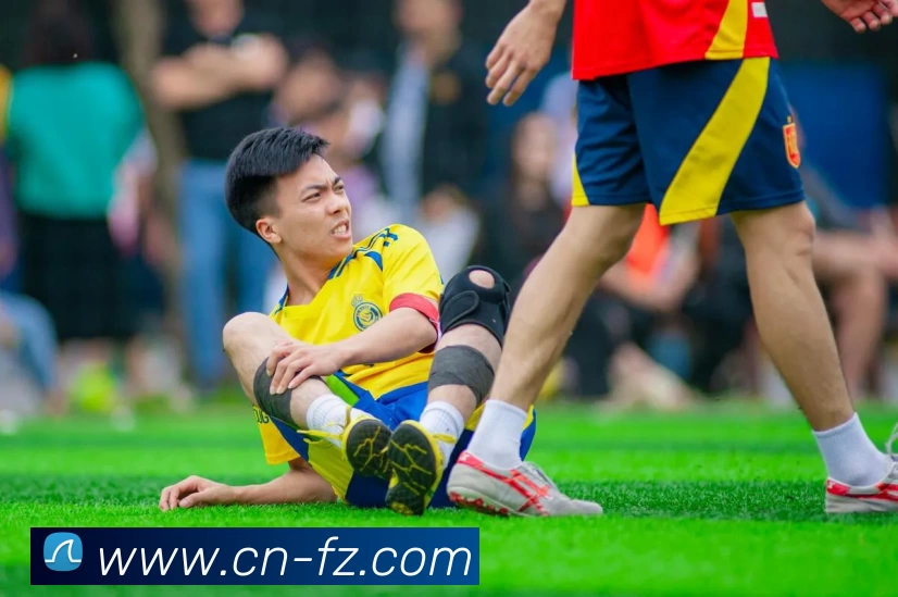 c7在线登录平台生态图